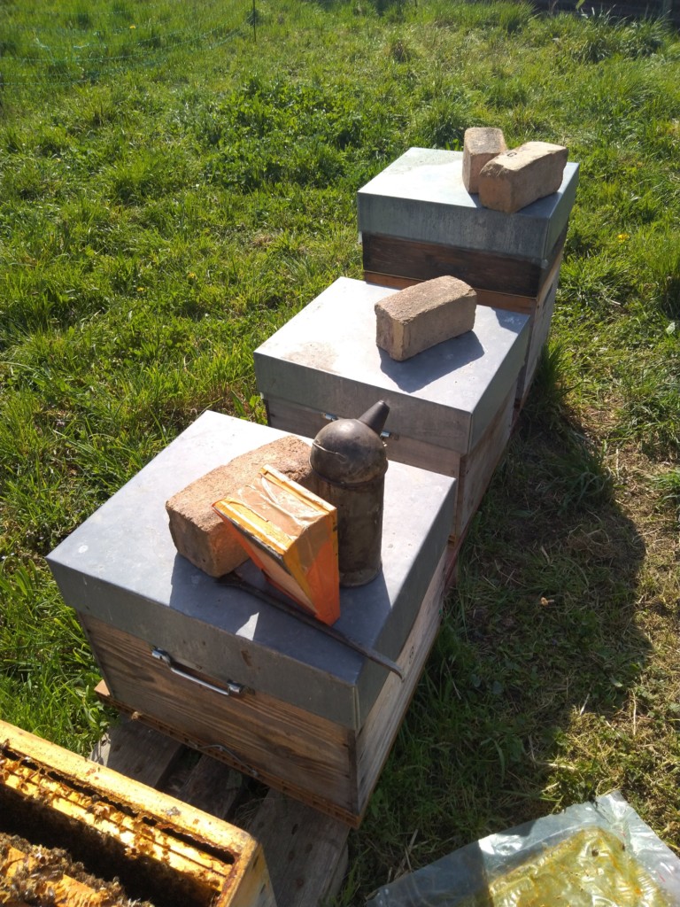 Les Abeilles et le Froid