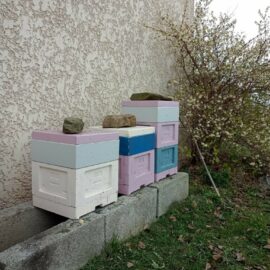 Les Abeilles en Février : Préparation et Soins Les Abeilles en Février : Préparation et Soins