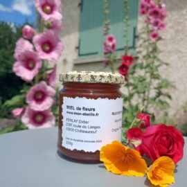 Miel ou gelée royale : quelles différences et comment les utiliser ? Miel ou gelée royale : quelles différences et comment les utiliser ?