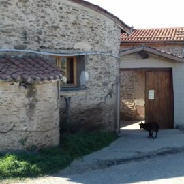 Miel local près de la Ferme des Pâquerettes Miel local près de la Ferme des Pâquerettes