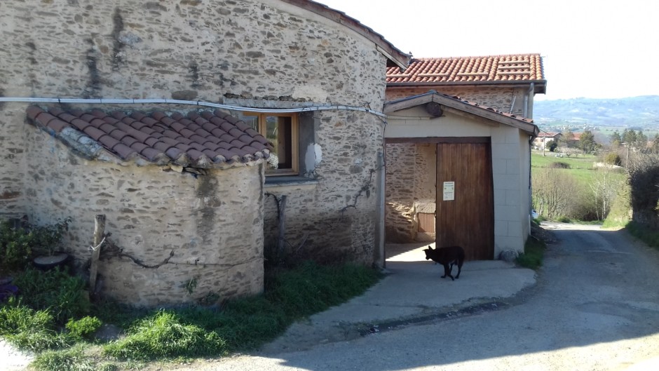 Miel local près de la Ferme des Pâquerettes