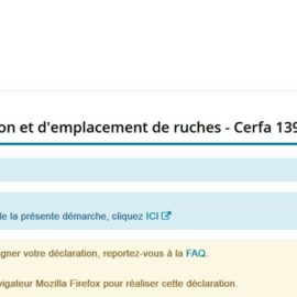 Déclaration annuelle de ruches : ce qu’il faut savoir Déclaration annuelle de ruches : ce qu’il faut savoir