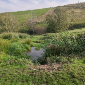 GAEC Du Moulin Des Chartreux : Le goût vrai du Pilat GAEC Du Moulin Des Chartreux : Le goût vrai du Pilat