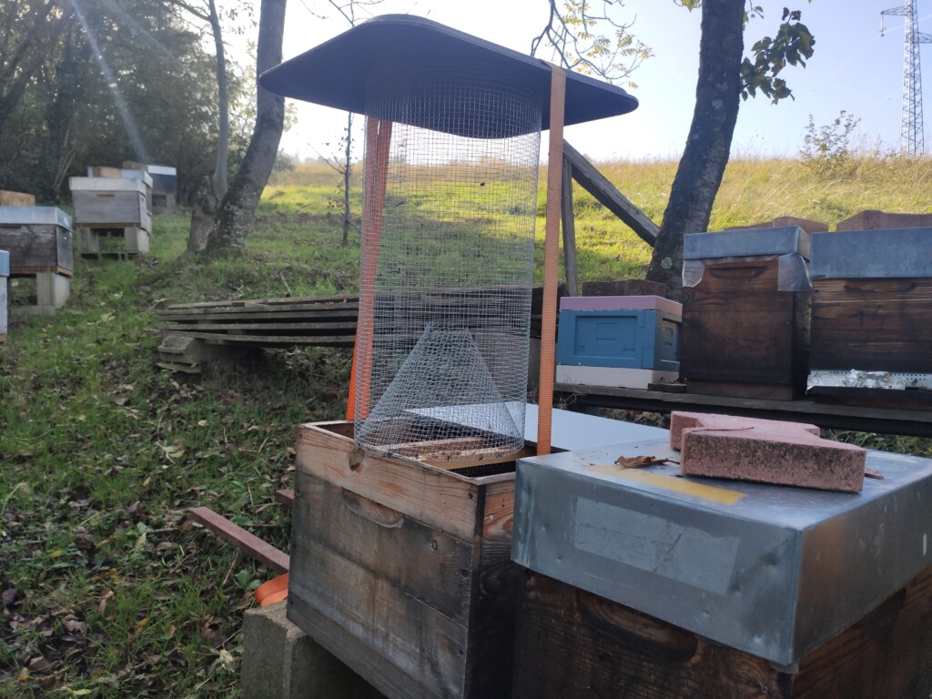 Nasse anti-frelon asiatique installée à l'entrée d'une ruche au Rucher du Pillier, Châteauneuf-sur-Loire 42800