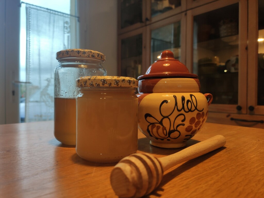 Les bienfaits du miel pour la digestion et le système digestif