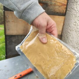 Comment Aider les Abeilles Face aux Creux de Floraison Comment Aider les Abeilles Face aux Creux de Floraison