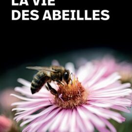 La Vie des abeilles de Maeterlinck La Vie des abeilles de Maeterlinck