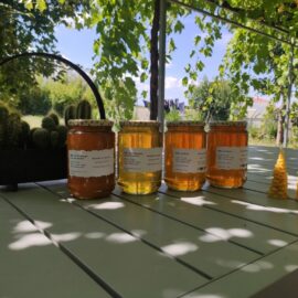 Vrai miel vs Faux miel : Comment ne plus se faire piéger ? Vrai miel vs Faux miel : Comment ne plus se faire piéger ?