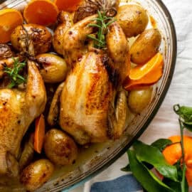 Caille aux oignons et au miel : l’automne en saveurs Caille aux oignons et au miel : l’automne en saveurs
