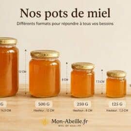 Quel format de pot de miel choisir ? Le guide du Rucher du Pillier Quel format de pot de miel choisir ? Le guide du Rucher du Pillier